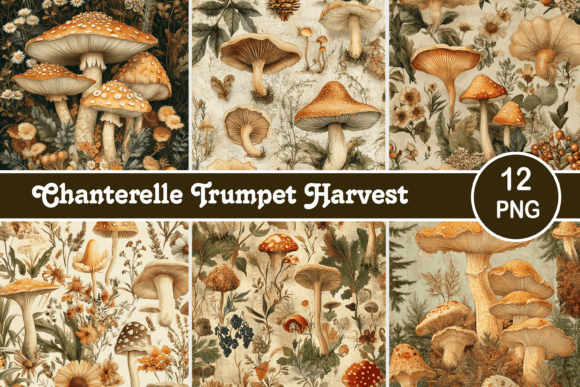 Chanterelle Trumpet Harvest: A Forager’s Typography